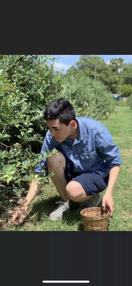 Went blueberry picking