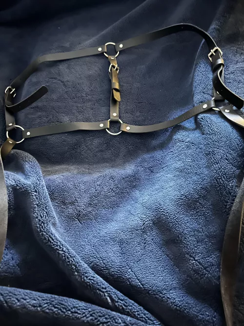 What is this and how do I use it?