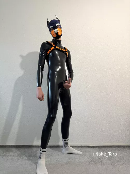 what would you do first when seeing this?