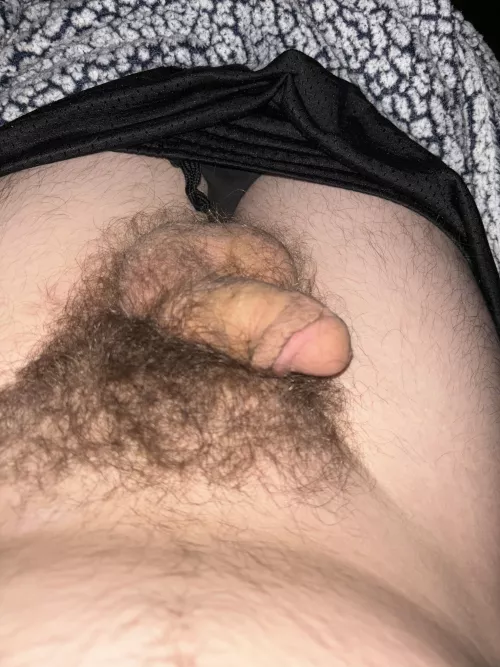 (18) anyone wanna see me hard