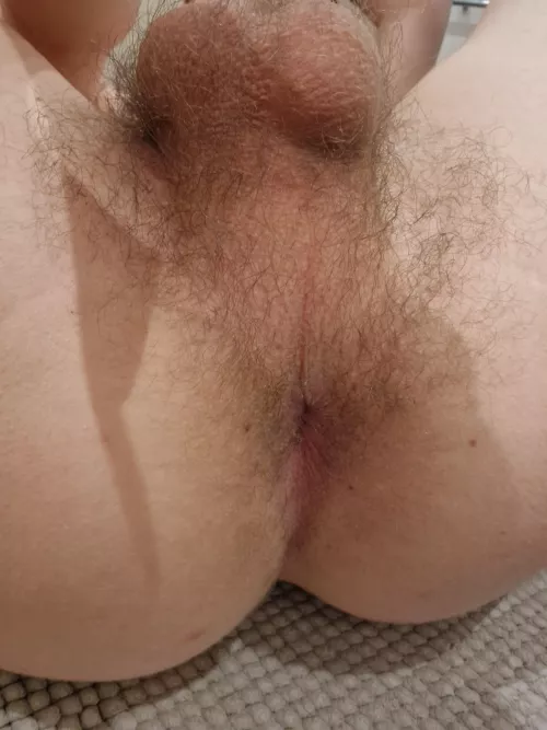 (21) would you take my virgin hole. its hungry