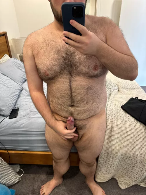 29 bear Australia…