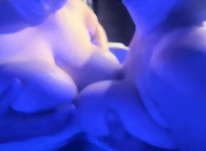 4 boobs are better than 2