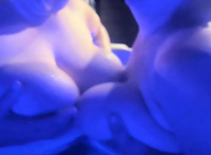 4 boobs are better than 2