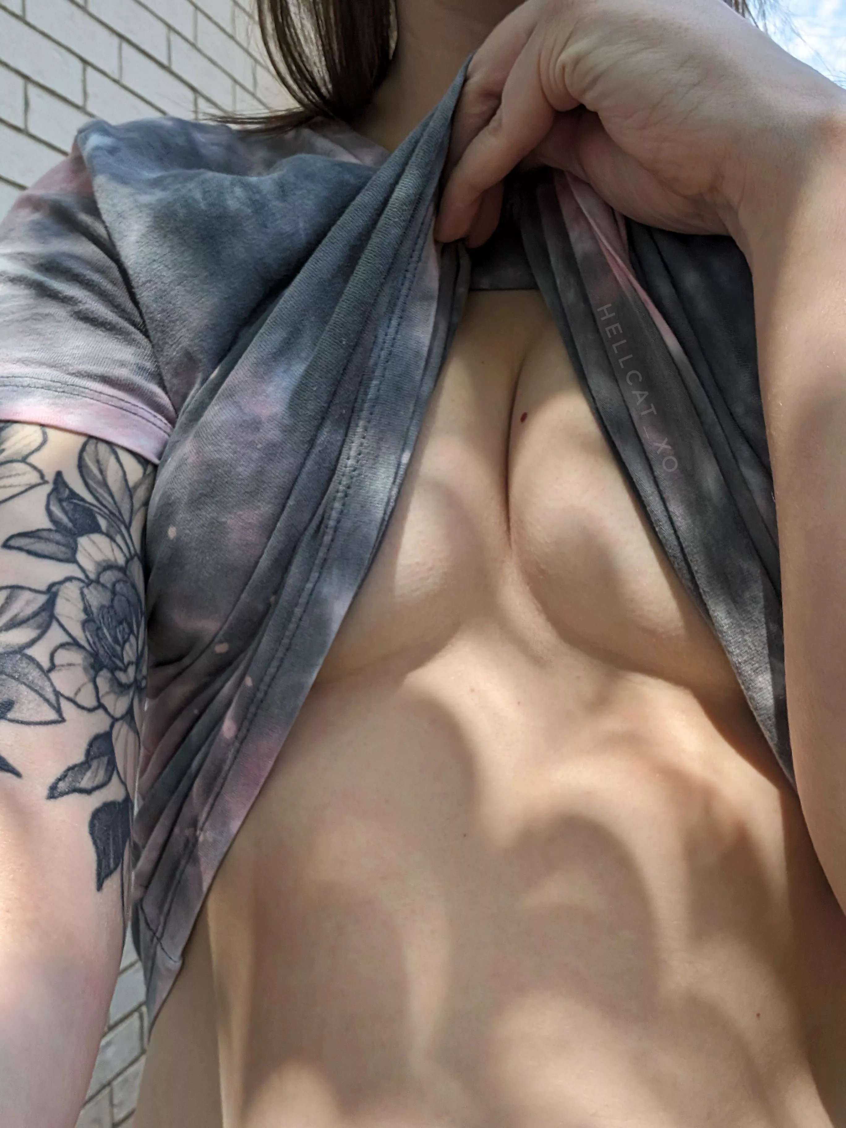 eclipse shadows on everything!