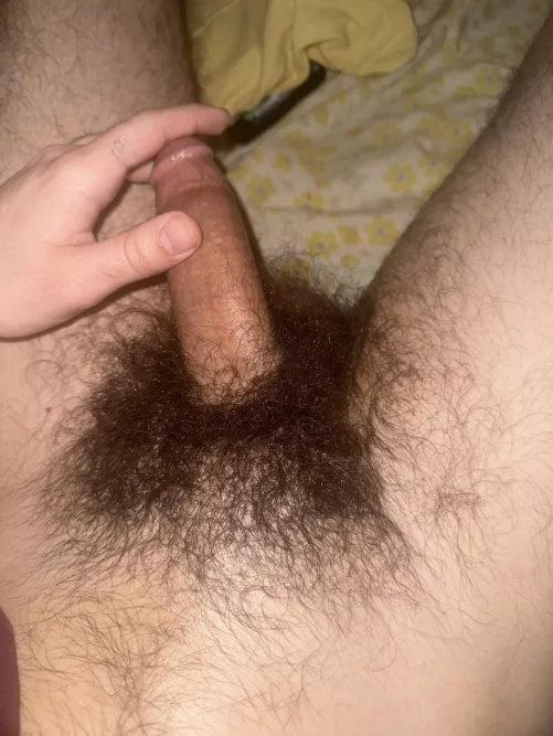 enough hair to bury your face in