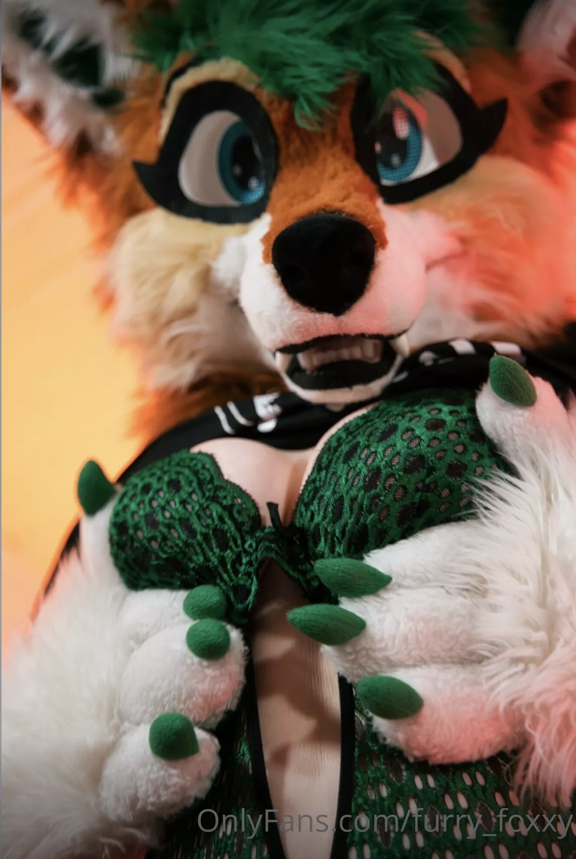 🐾 Grab them with your paws/claws or hands! Just do it! 🐾