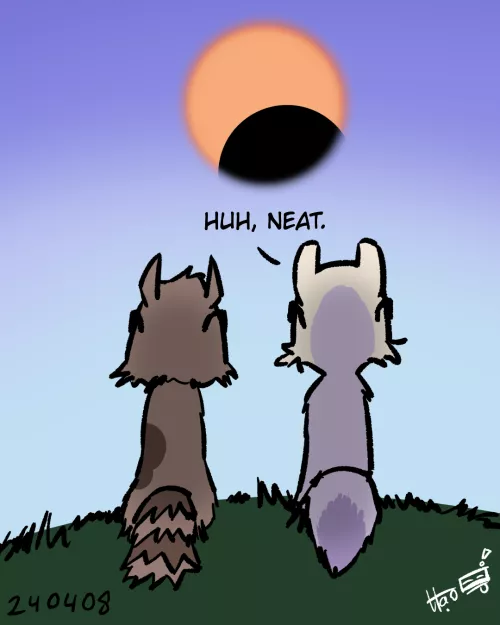 Happy Solar Eclipse!