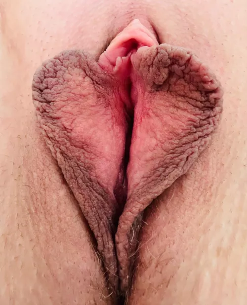 How many of you men can I make cum with this one picture?