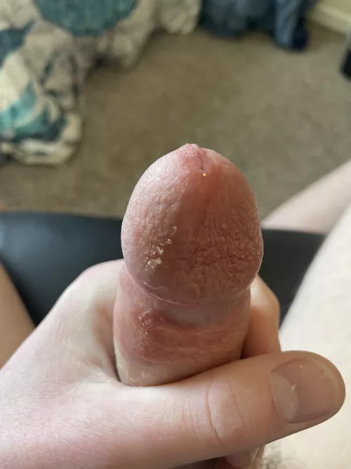 Hs penis with lots of pre cum