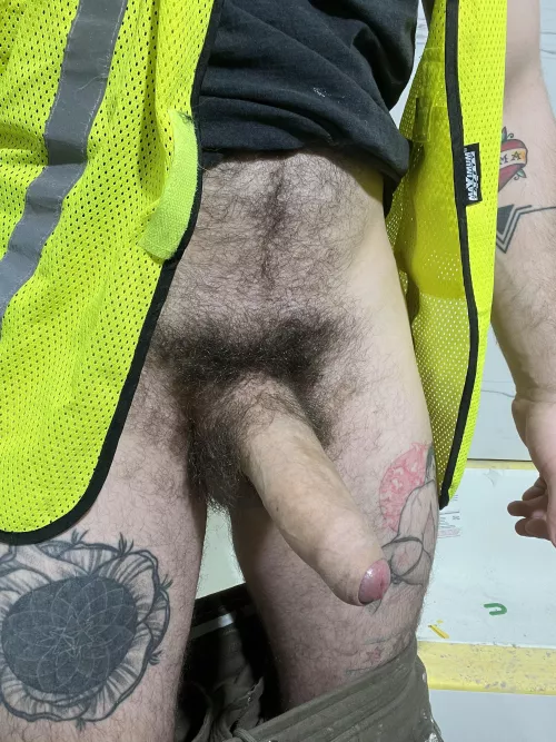 I am your new handyman 