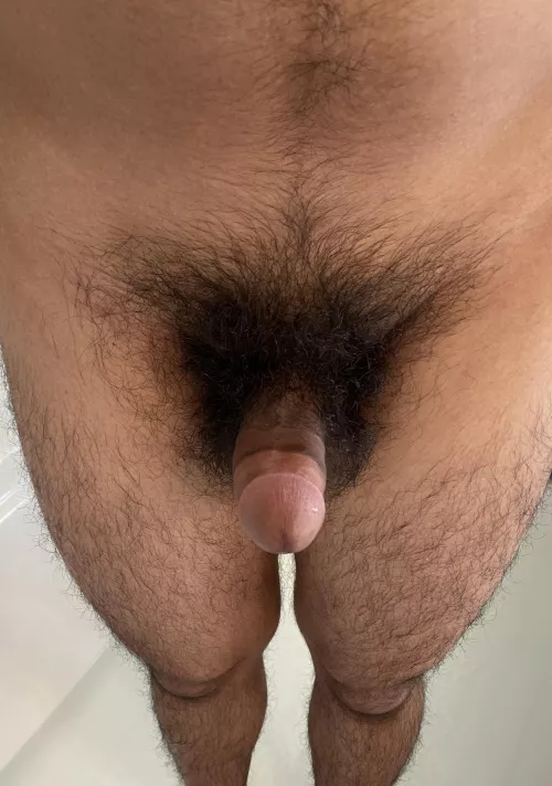 Is it time to shave now?