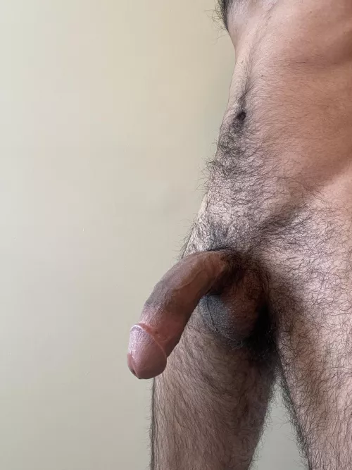 Looking at the sun will hurt your eyes, look at this cock instead 😏