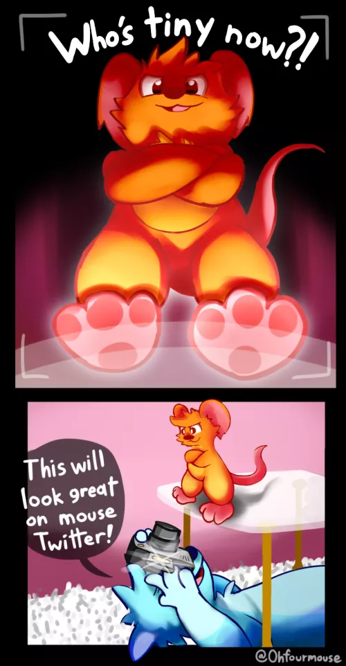 Mouse twitter is a very small community [OC]