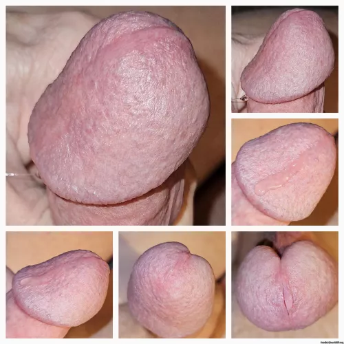 Mushroom cock head pictures 