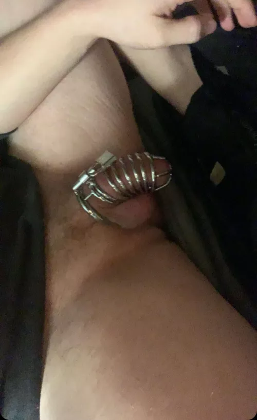 New cage how do I look