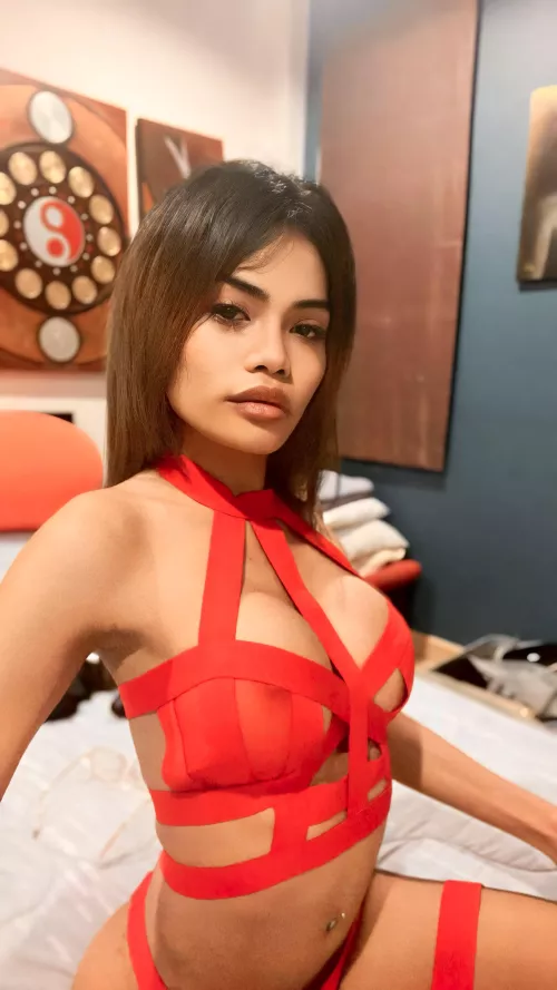 Ready for me to sit down on your face