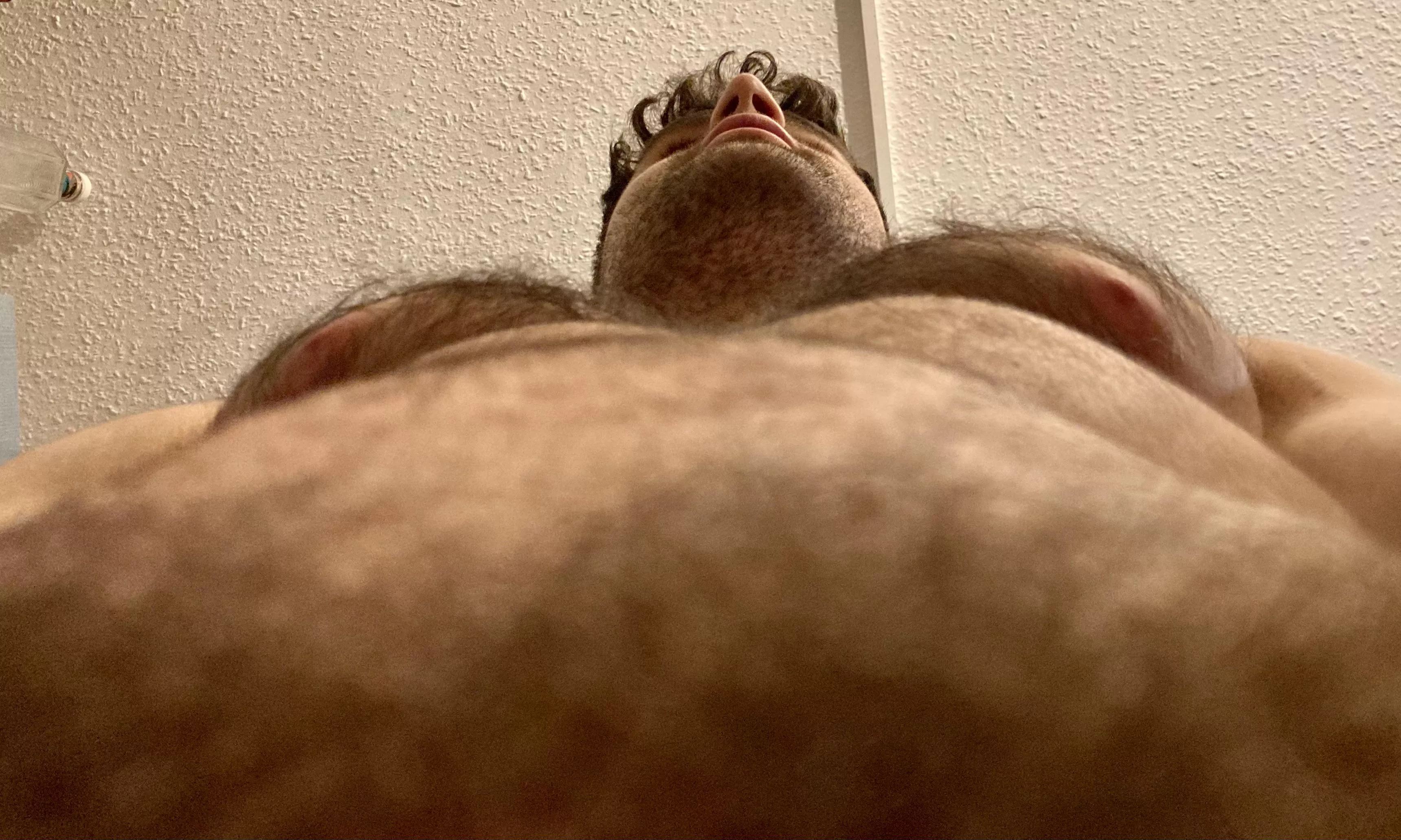 Take your seat, in the forest down below