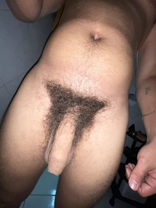 Thick bush and uncut cock