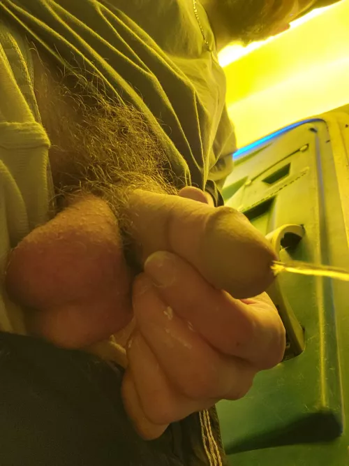 This sweaty worksite bush is wild today 