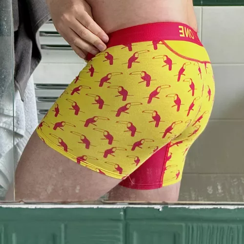 Toucan play that game