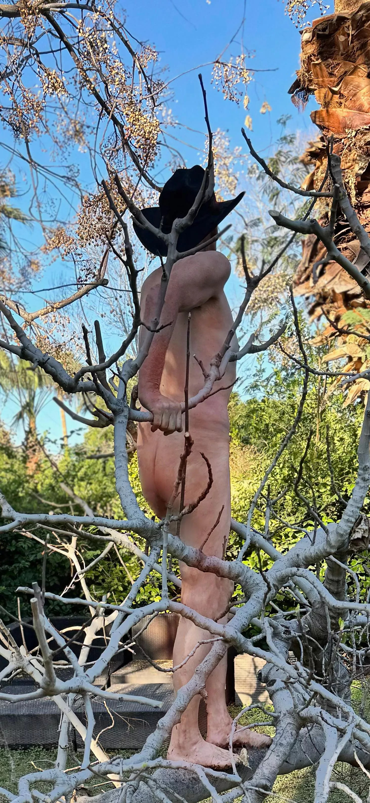 ☘️Tree Pose Tuesday🌿 Searching for a new …….