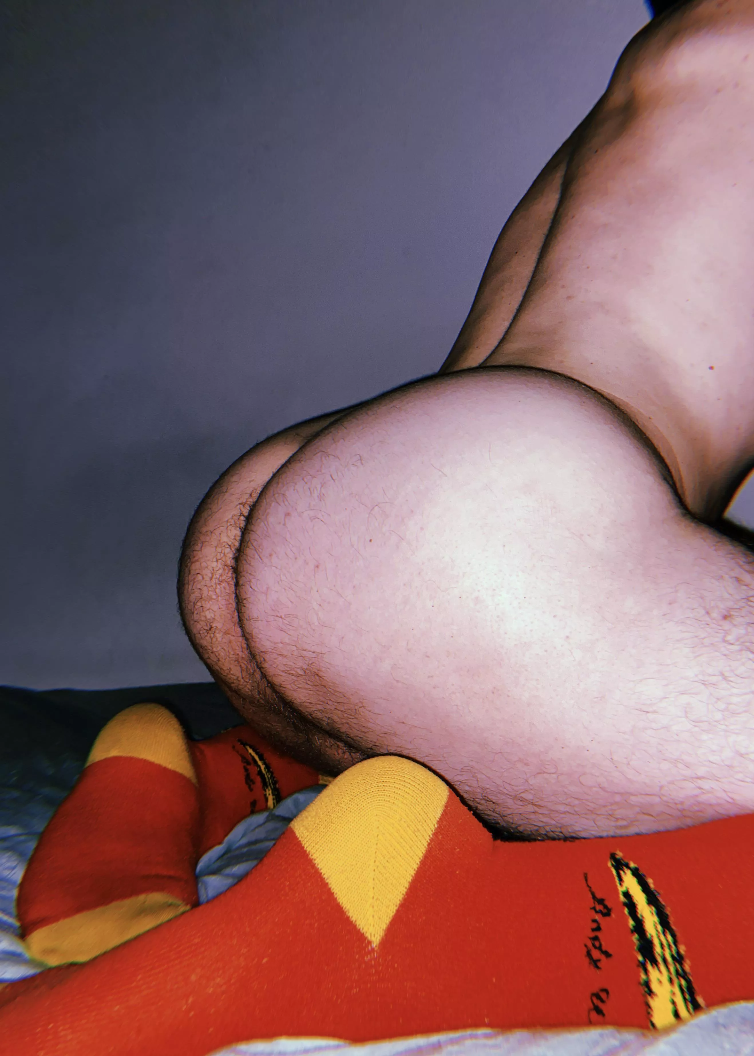 What are you going to sniff at first?