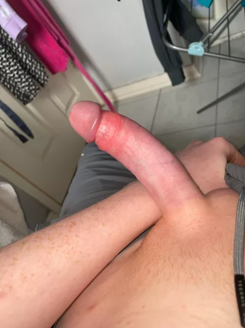 what do you think of my shaven dick? (19)
