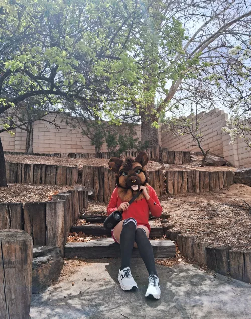 You guys enjoy the eclipse too?