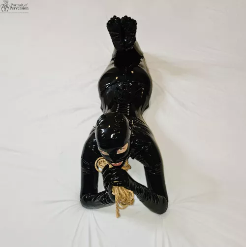 Are you brave enough to let this cute little rubber doll tie you up? We can start with jute but you will end up in some very nasty coconut rope.