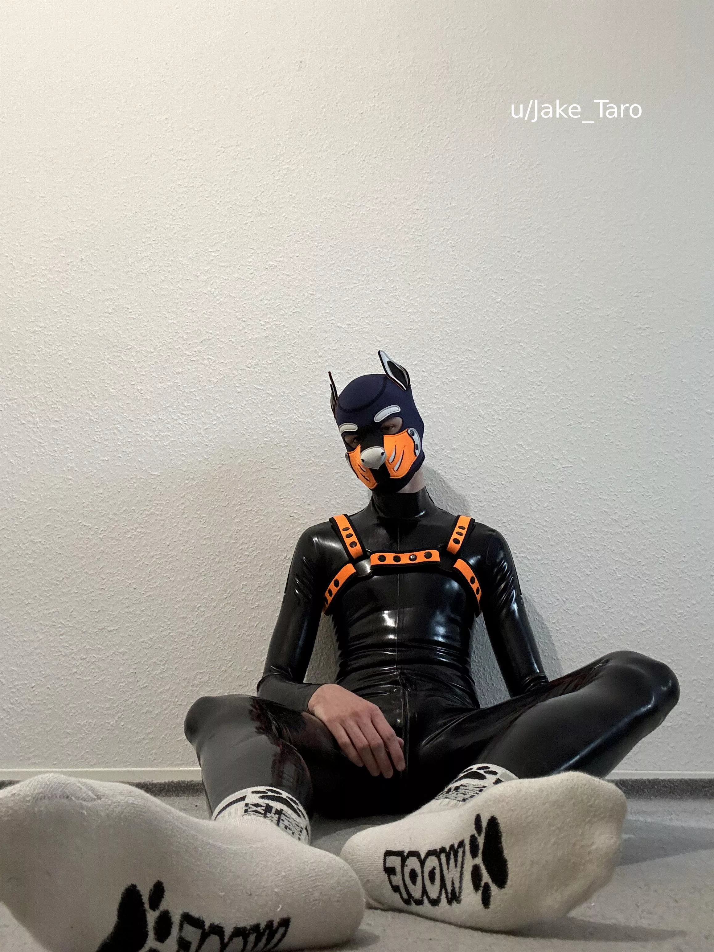 are you up for some sniffing?