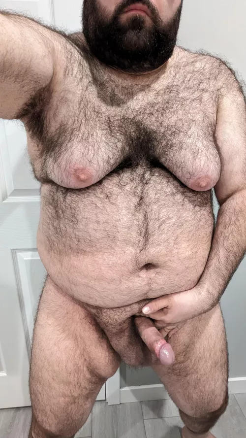 Breeding stud available (roleplay)