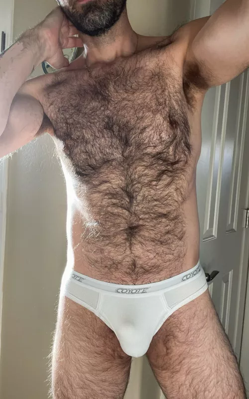 Briefs and fur