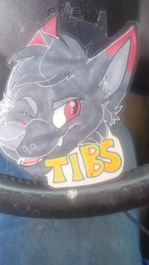 Cleaning out my new suv i found the badge of someone named tibs if this is you id love to talk and share con stories