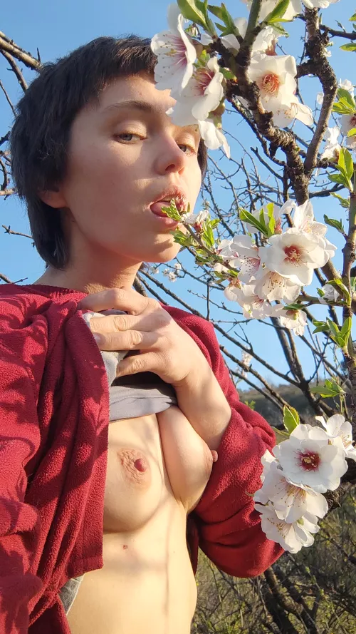 cute flowers appeared in my garden