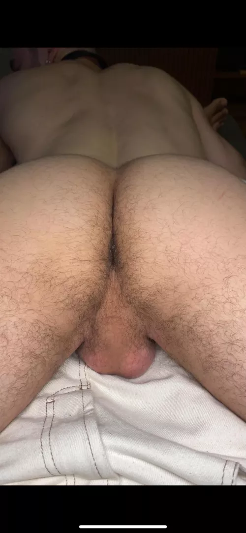 Do you like hairy ass?