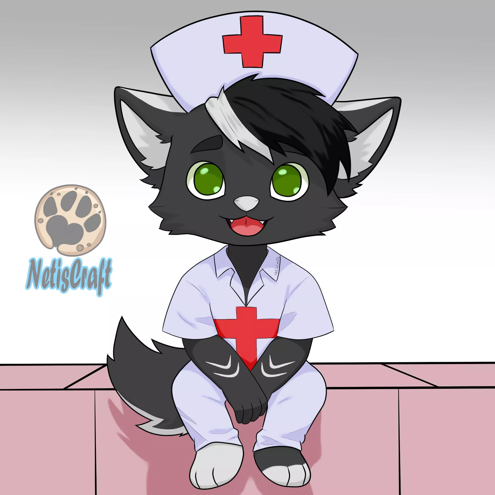 Draw your profession /job (NetisCraft) 