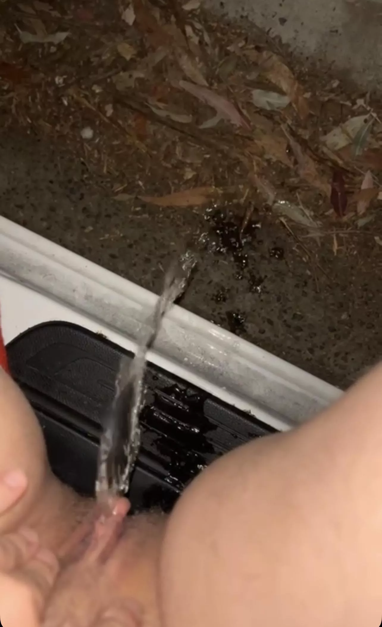 Drunk me loves peeing out of cars apparently 