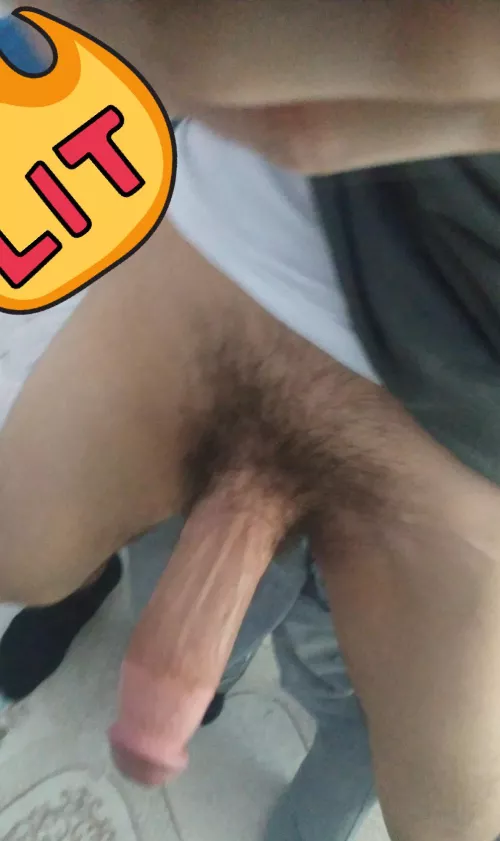 Fresh big teen dick for women 