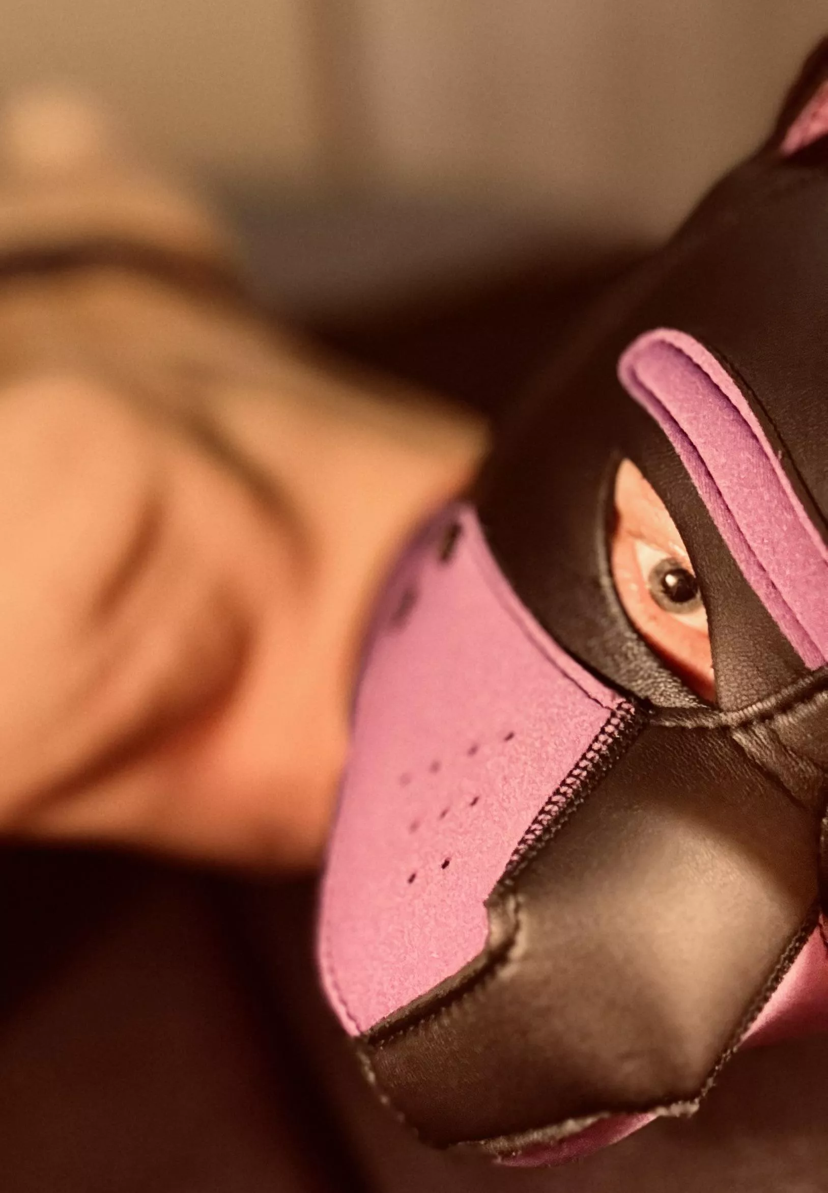 Good morning puppers, hope you all have a pawwsome day ahead of you! 💜