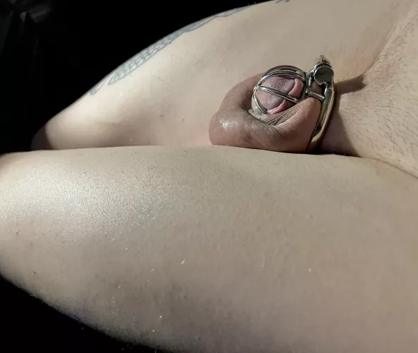 It feels so limp and properly kept rn should i get a smaller cage?