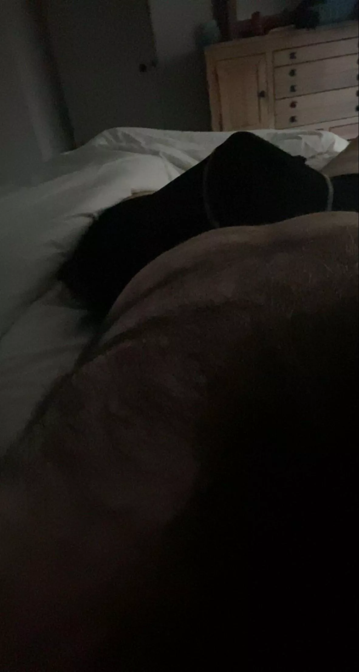 Just pitching a tent