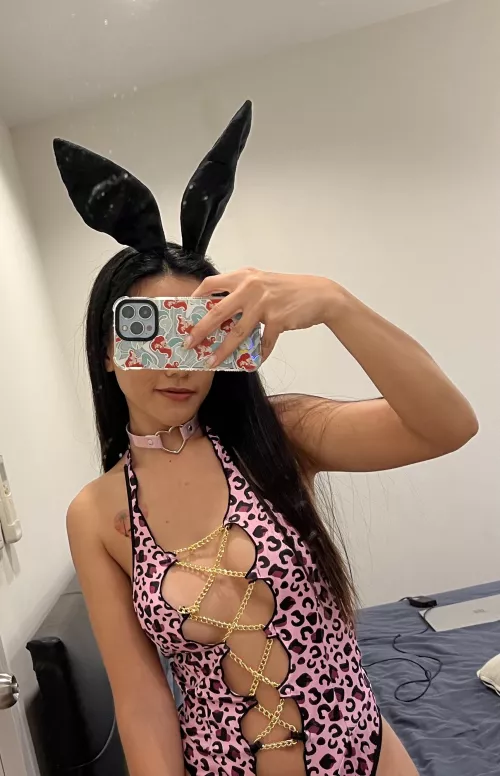 Let's fuck like bunnies