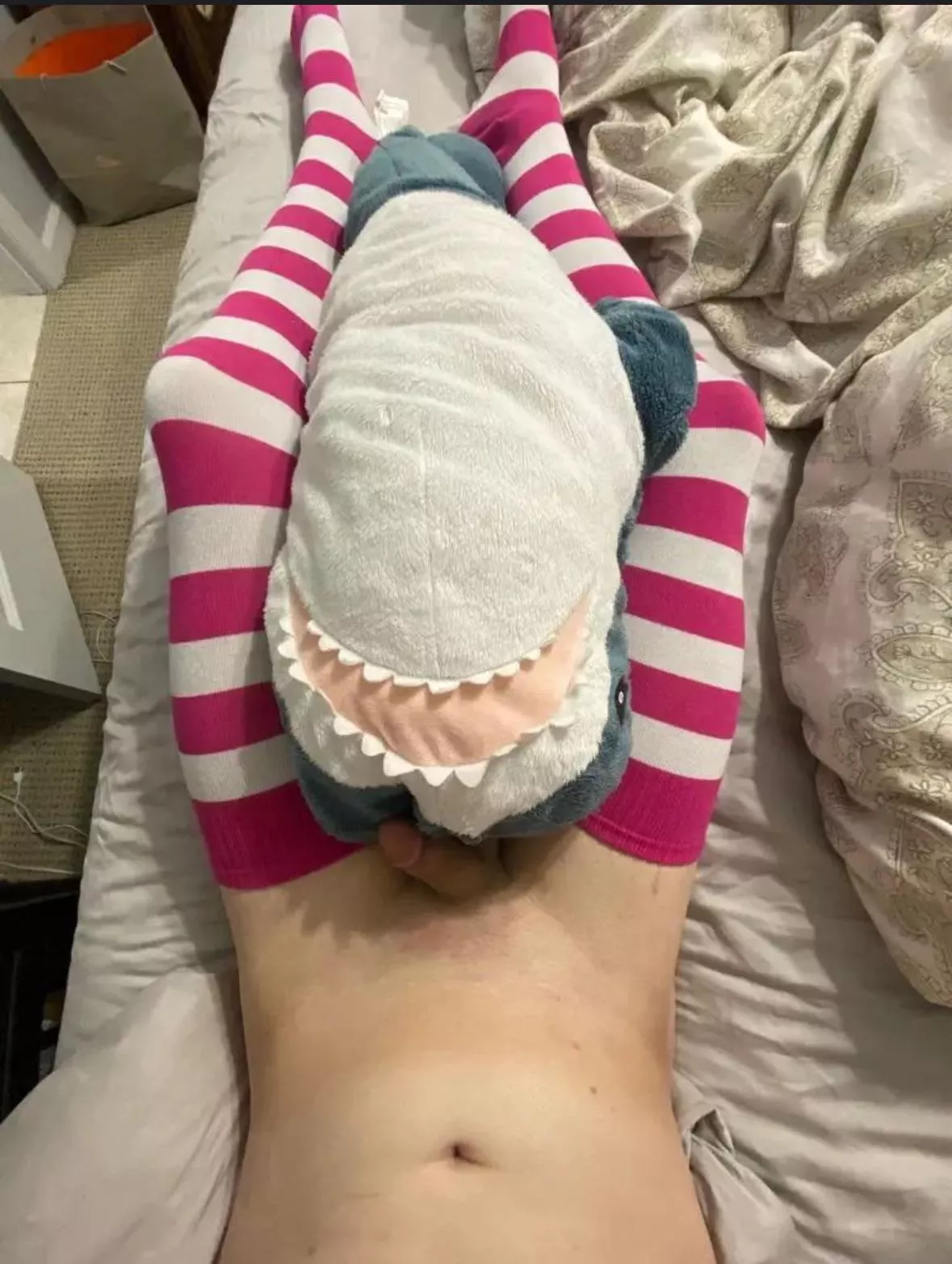 Me and sharky in bed