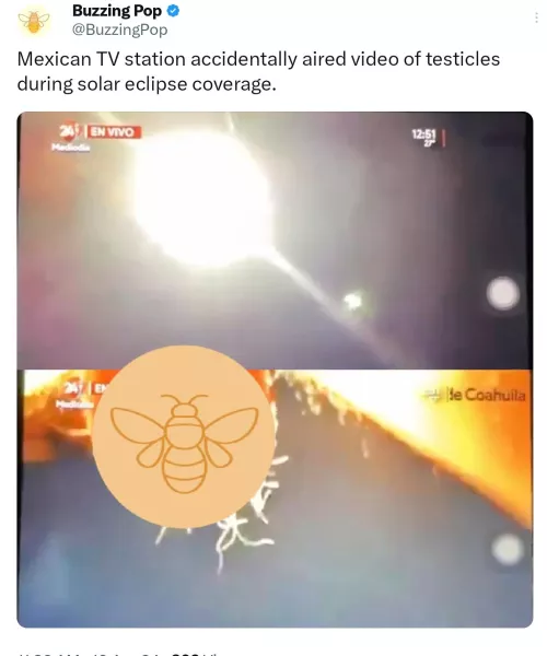 Mexican TV station accidentally aired video of testicles instead of the actual solar eclipse 