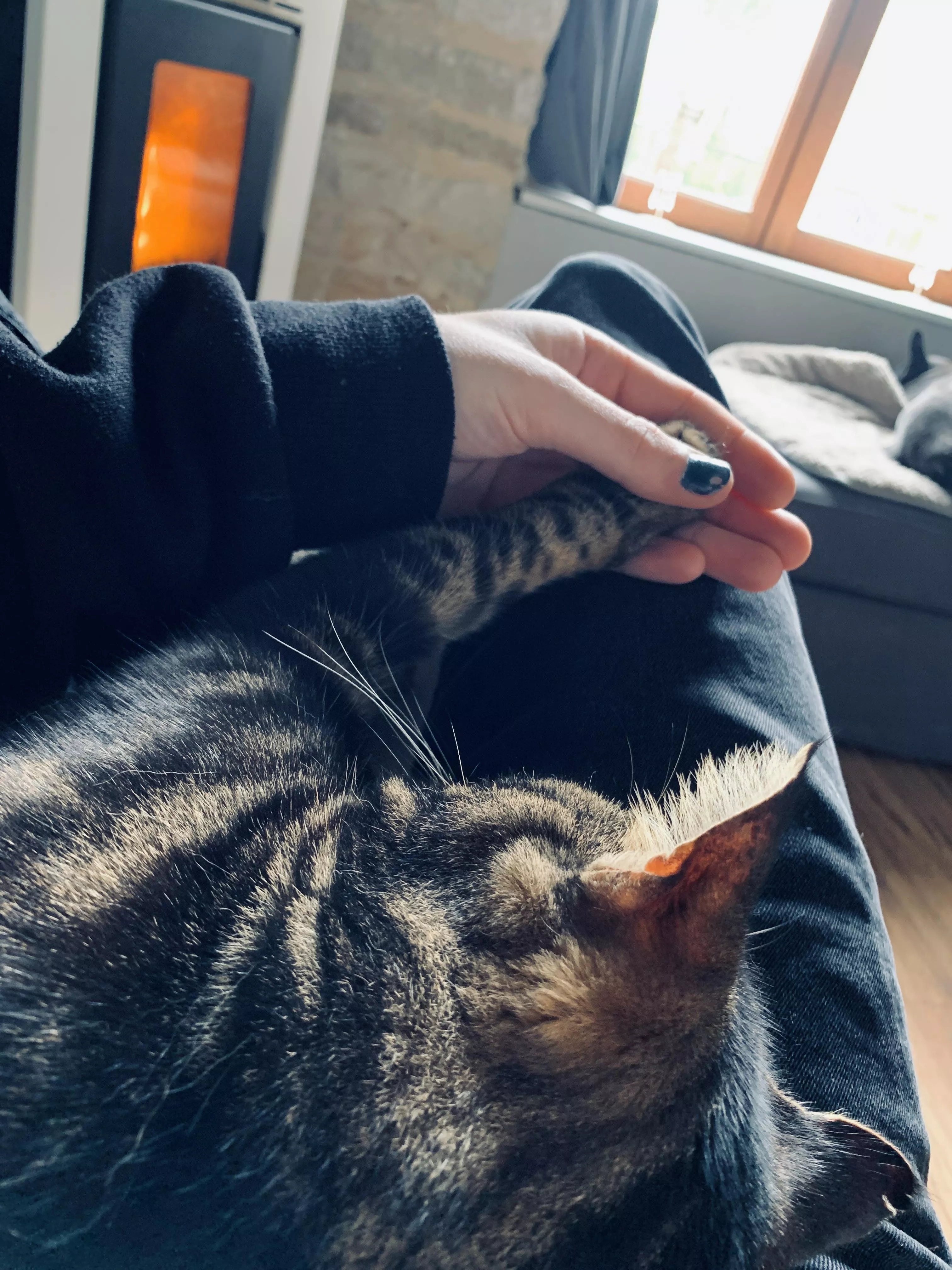 No one wants to hold my hand so my cat stepped up✨