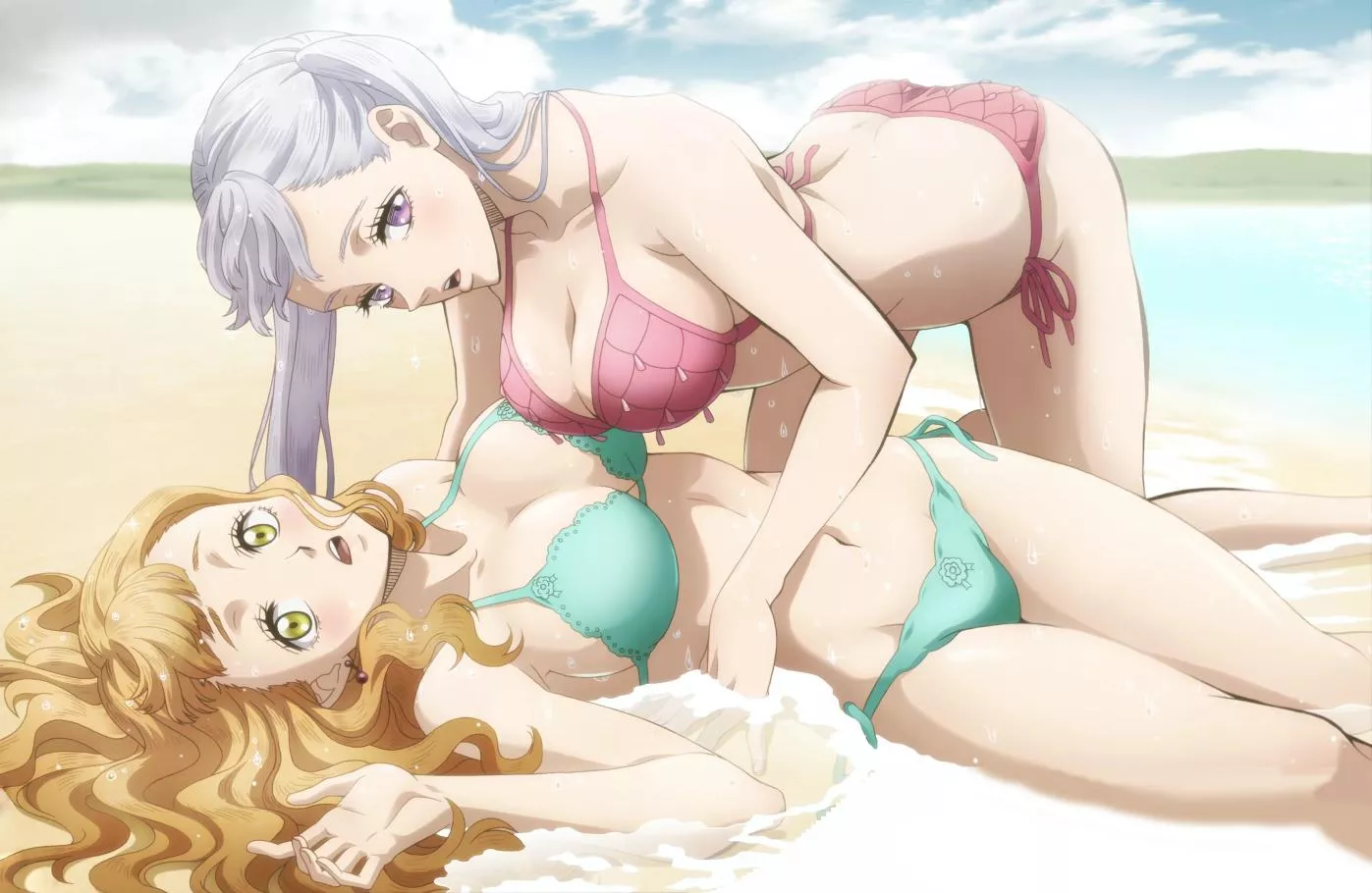 Noelle and mimosa sexy bikinis