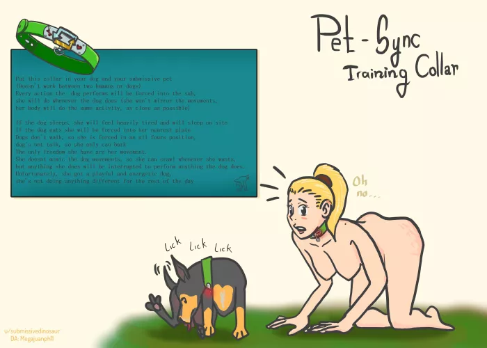 PetSync- you petgirl training collar