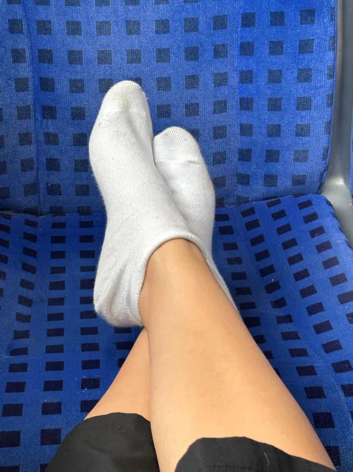 Socks at the train (F)