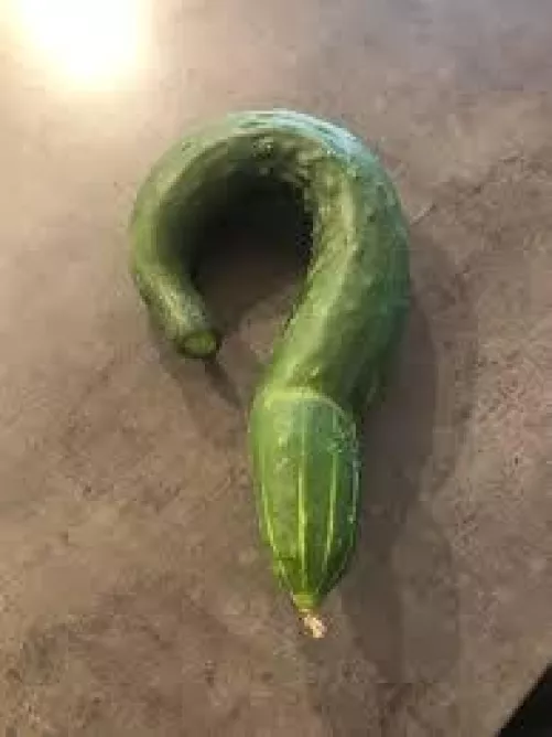 When did this become a pegging sub?